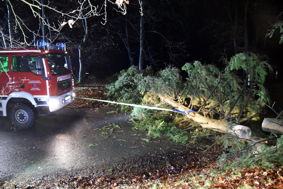 TH1 GA 2022-01-29 011.jpg